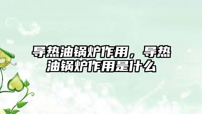 導熱油鍋爐作用，導熱油鍋爐作用是什么