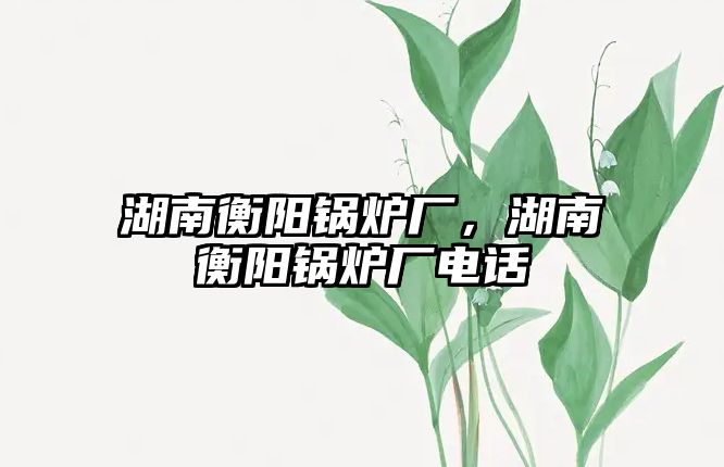 湖南衡陽鍋爐廠，湖南衡陽鍋爐廠電話