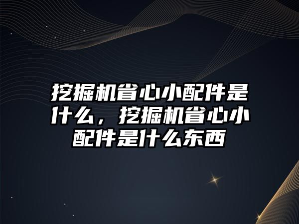 挖掘機省心小配件是什么，挖掘機省心小配件是什么東西