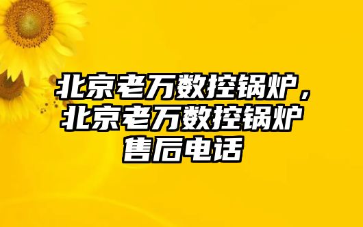 北京老萬數控鍋爐，北京老萬數控鍋爐售后電話