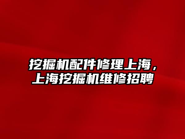 挖掘機配件修理上海，上海挖掘機維修招聘