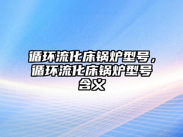 循環流化床鍋爐型號，循環流化床鍋爐型號含義