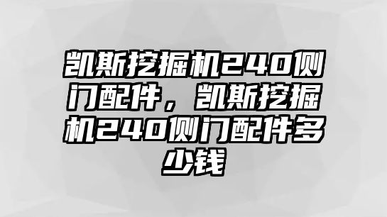 凱斯挖掘機(jī)240側(cè)門配件，凱斯挖掘機(jī)240側(cè)門配件多少錢