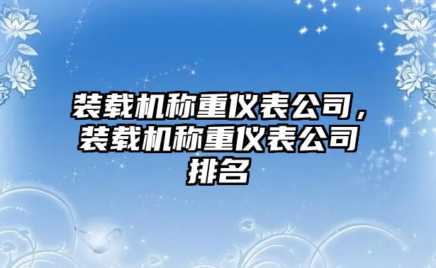 裝載機(jī)稱重儀表公司，裝載機(jī)稱重儀表公司排名