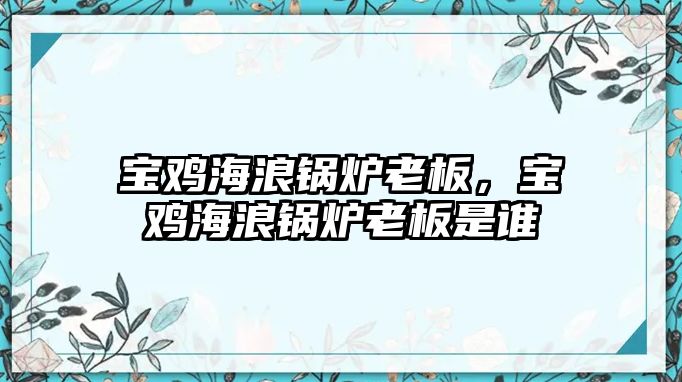 寶雞海浪鍋爐老板，寶雞海浪鍋爐老板是誰