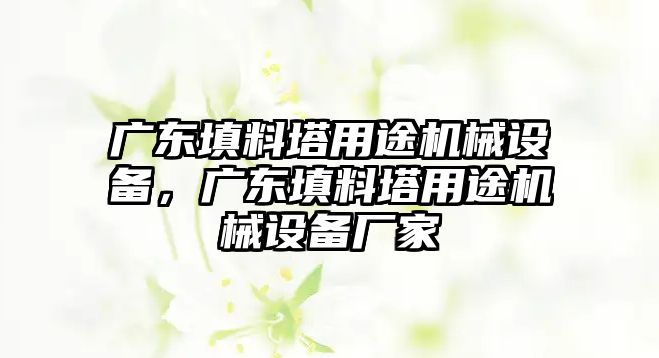 廣東填料塔用途機械設(shè)備，廣東填料塔用途機械設(shè)備廠家