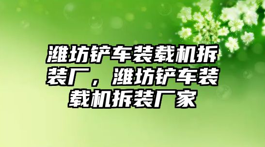 濰坊鏟車裝載機拆裝廠，濰坊鏟車裝載機拆裝廠家