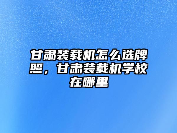 甘肅裝載機怎么選牌照，甘肅裝載機學校在哪里