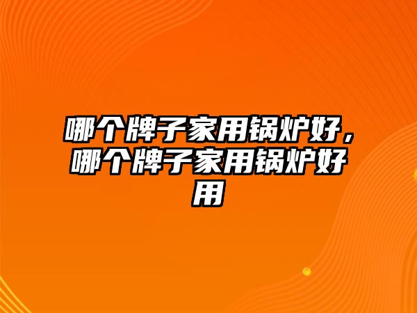 哪個(gè)牌子家用鍋爐好，哪個(gè)牌子家用鍋爐好用