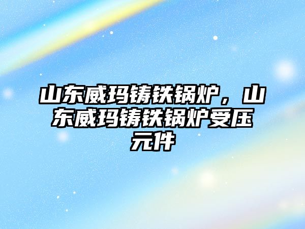 山東威瑪鑄鐵鍋爐，山東威瑪鑄鐵鍋爐受壓元件