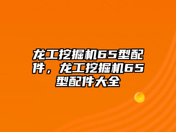 龍工挖掘機65型配件，龍工挖掘機65型配件大全