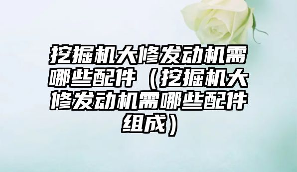 挖掘機大修發動機需哪些配件（挖掘機大修發動機需哪些配件組成）