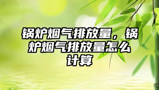 鍋爐煙氣排放量，鍋爐煙氣排放量怎么計算