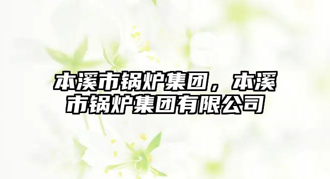 本溪市鍋爐集團(tuán)，本溪市鍋爐集團(tuán)有限公司