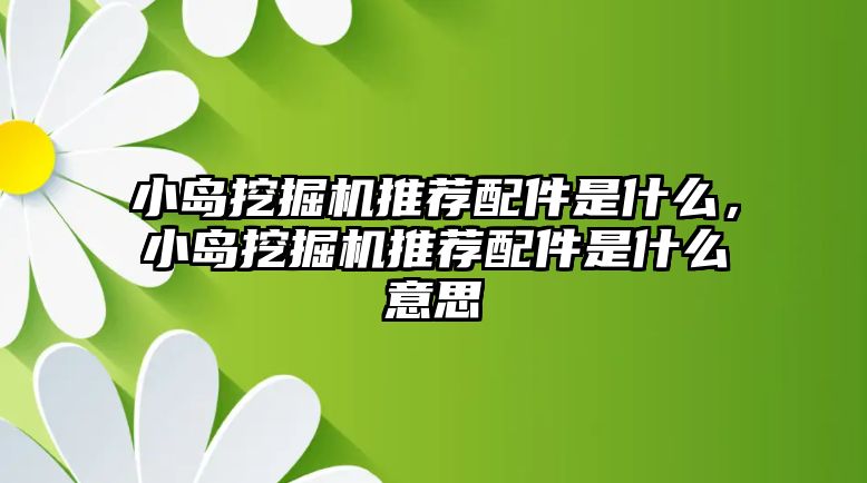 小島挖掘機推薦配件是什么，小島挖掘機推薦配件是什么意思