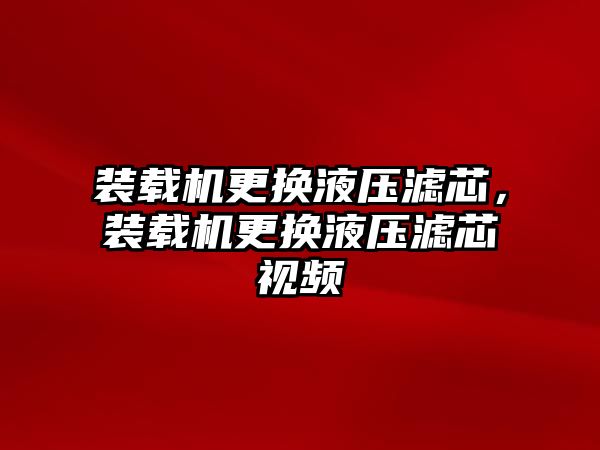 裝載機更換液壓濾芯，裝載機更換液壓濾芯視頻