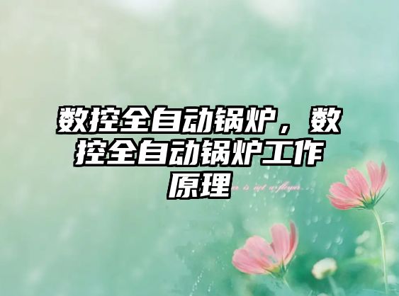 數控全自動鍋爐，數控全自動鍋爐工作原理