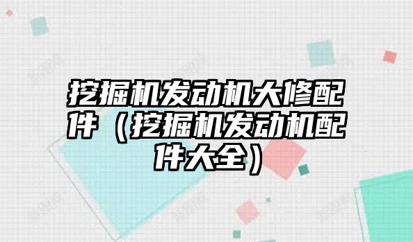 挖掘機發動機大修配件（挖掘機發動機配件大全）