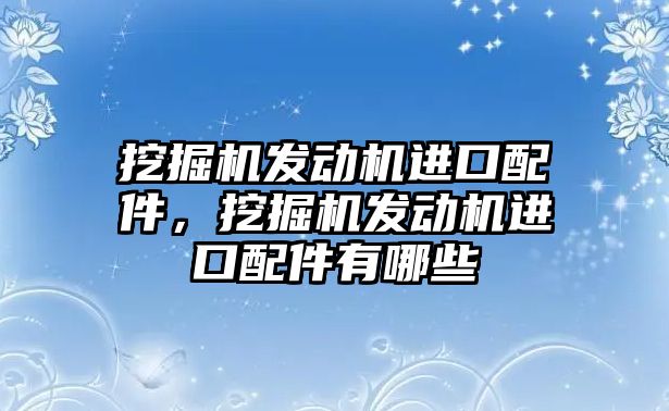 挖掘機發(fā)動機進口配件，挖掘機發(fā)動機進口配件有哪些