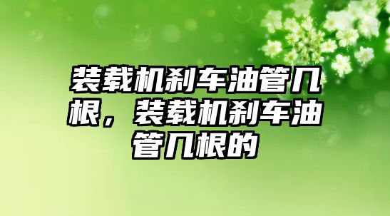 裝載機剎車油管幾根，裝載機剎車油管幾根的