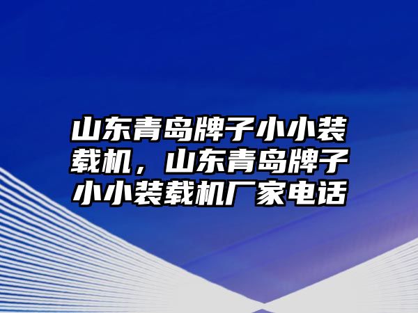 山東青島牌子小小裝載機，山東青島牌子小小裝載機廠家電話