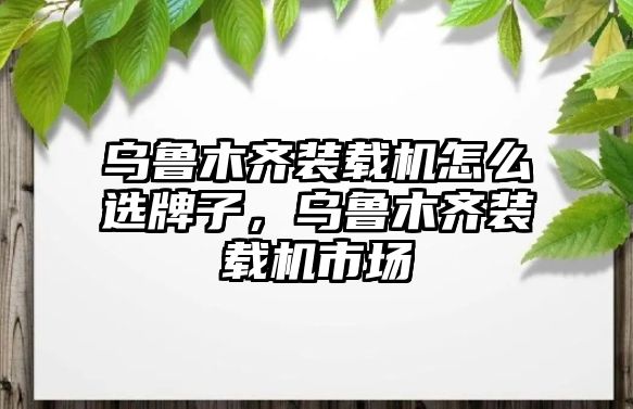 烏魯木齊裝載機怎么選牌子，烏魯木齊裝載機市場