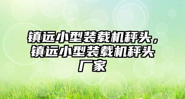 鎮遠小型裝載機秤頭，鎮遠小型裝載機秤頭廠家