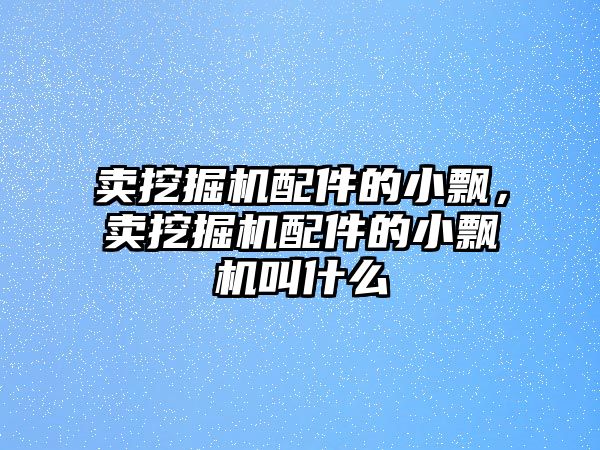 賣挖掘機配件的小飄，賣挖掘機配件的小飄機叫什么