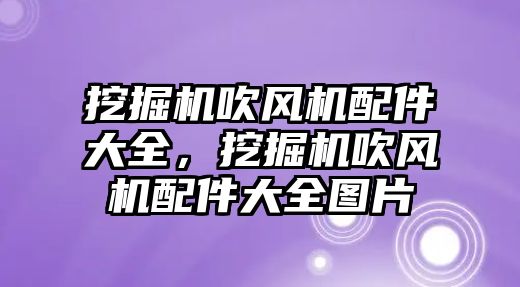 挖掘機吹風機配件大全，挖掘機吹風機配件大全圖片