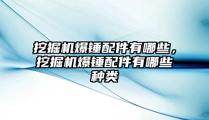 挖掘機爆錘配件有哪些，挖掘機爆錘配件有哪些種類