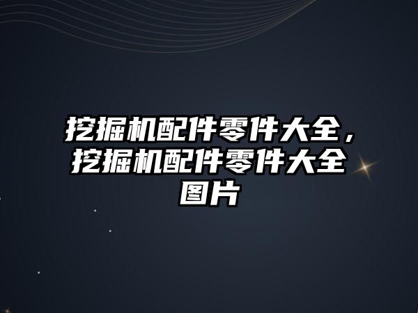 挖掘機配件零件大全，挖掘機配件零件大全圖片