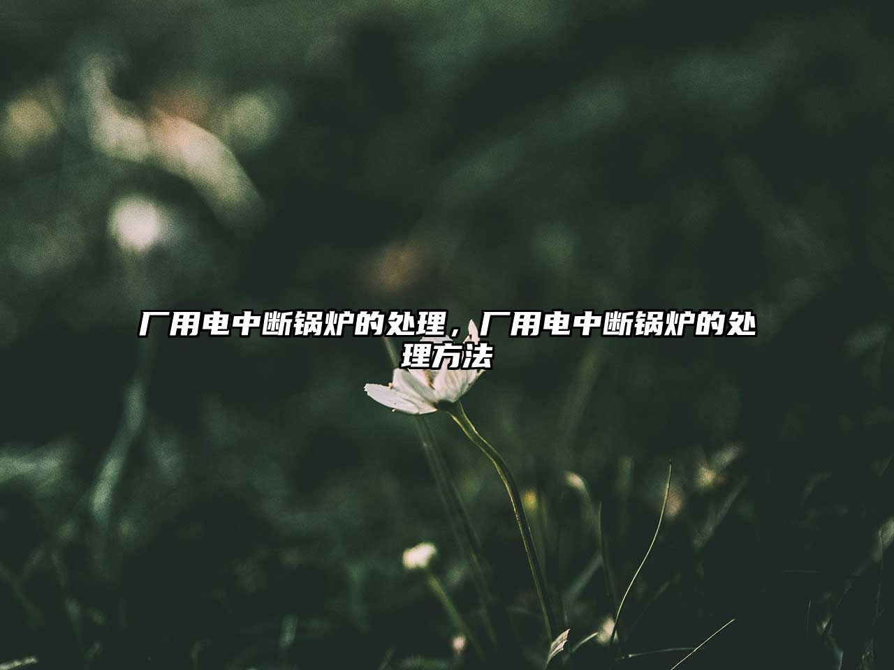 廠(chǎng)用電中斷鍋爐的處理，廠(chǎng)用電中斷鍋爐的處理方法