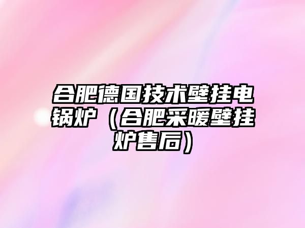 合肥德國技術壁掛電鍋爐（合肥采暖壁掛爐售后）