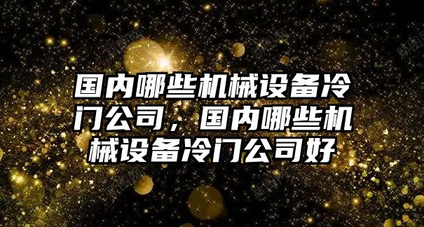 國內哪些機械設備冷門公司，國內哪些機械設備冷門公司好