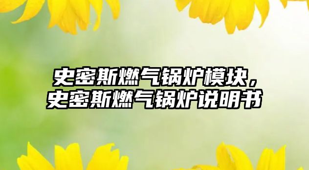 史密斯燃氣鍋爐模塊，史密斯燃氣鍋爐說明書