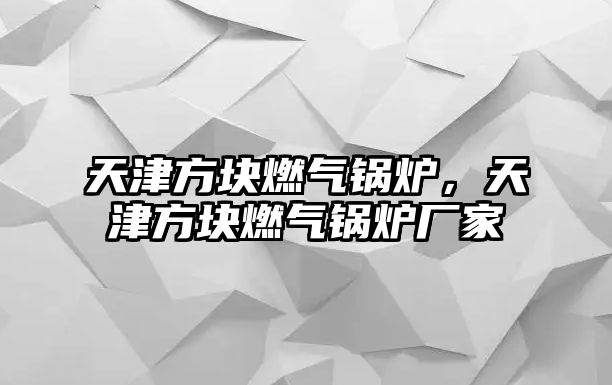 天津方塊燃?xì)忮仩t，天津方塊燃?xì)忮仩t廠家