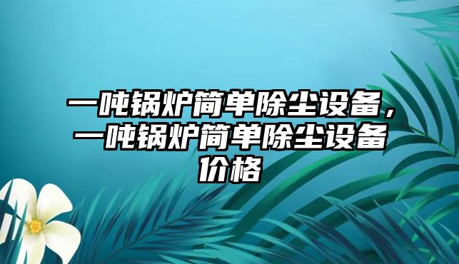 一噸鍋爐簡單除塵設(shè)備，一噸鍋爐簡單除塵設(shè)備價格