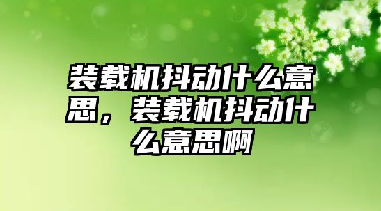 裝載機抖動什么意思，裝載機抖動什么意思啊