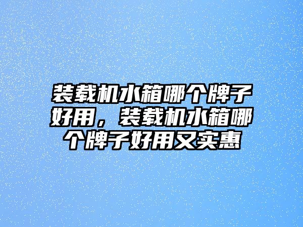 裝載機水箱哪個牌子好用，裝載機水箱哪個牌子好用又實惠