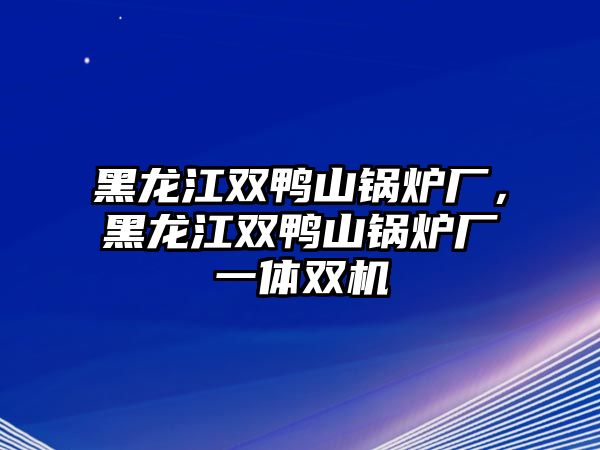 黑龍江雙鴨山鍋爐廠，黑龍江雙鴨山鍋爐廠一體雙機(jī)