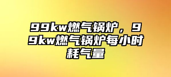 99kw燃氣鍋爐，99kw燃氣鍋爐每小時耗氣量