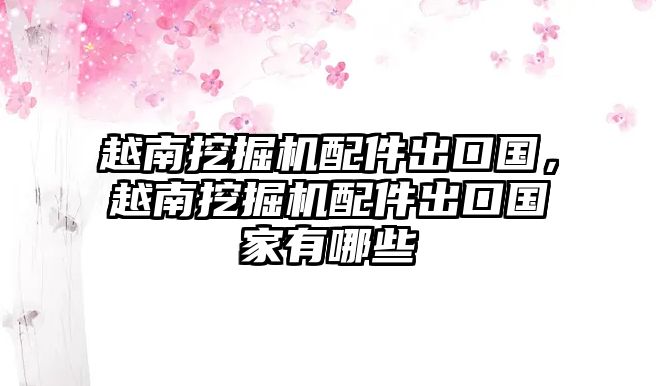 越南挖掘機配件出口國，越南挖掘機配件出口國家有哪些