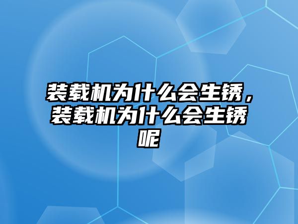 裝載機為什么會生銹，裝載機為什么會生銹呢