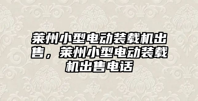 萊州小型電動裝載機出售，萊州小型電動裝載機出售電話