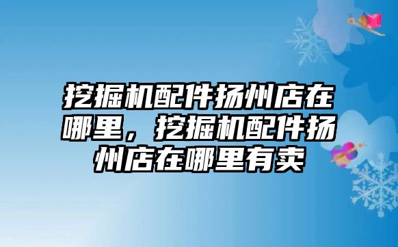 挖掘機配件揚州店在哪里，挖掘機配件揚州店在哪里有賣