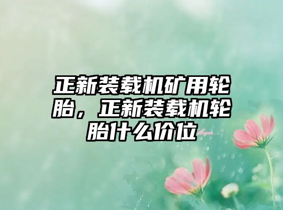 正新裝載機礦用輪胎，正新裝載機輪胎什么價位