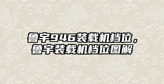 魯宇946裝載機檔位，魯宇裝載機檔位圖解