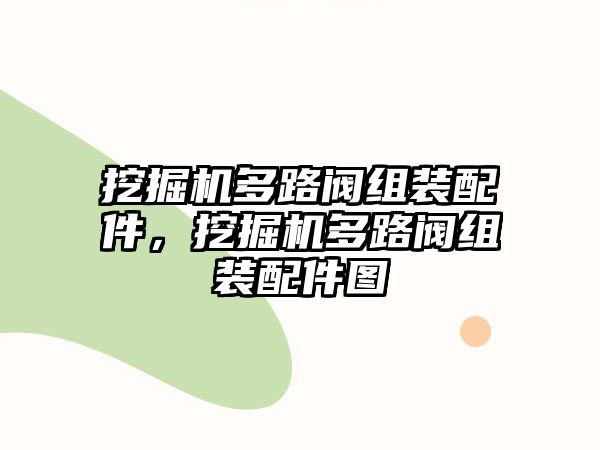 挖掘機多路閥組裝配件，挖掘機多路閥組裝配件圖