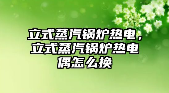 立式蒸汽鍋爐熱電，立式蒸汽鍋爐熱電偶怎么換