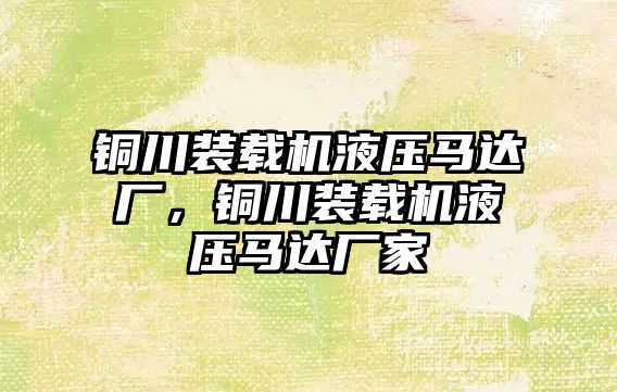 銅川裝載機液壓馬達廠，銅川裝載機液壓馬達廠家